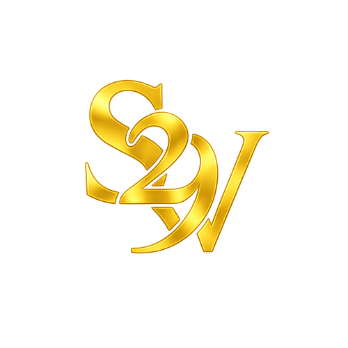 S29 Vision